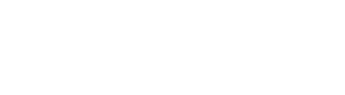 Bollinger Foundation